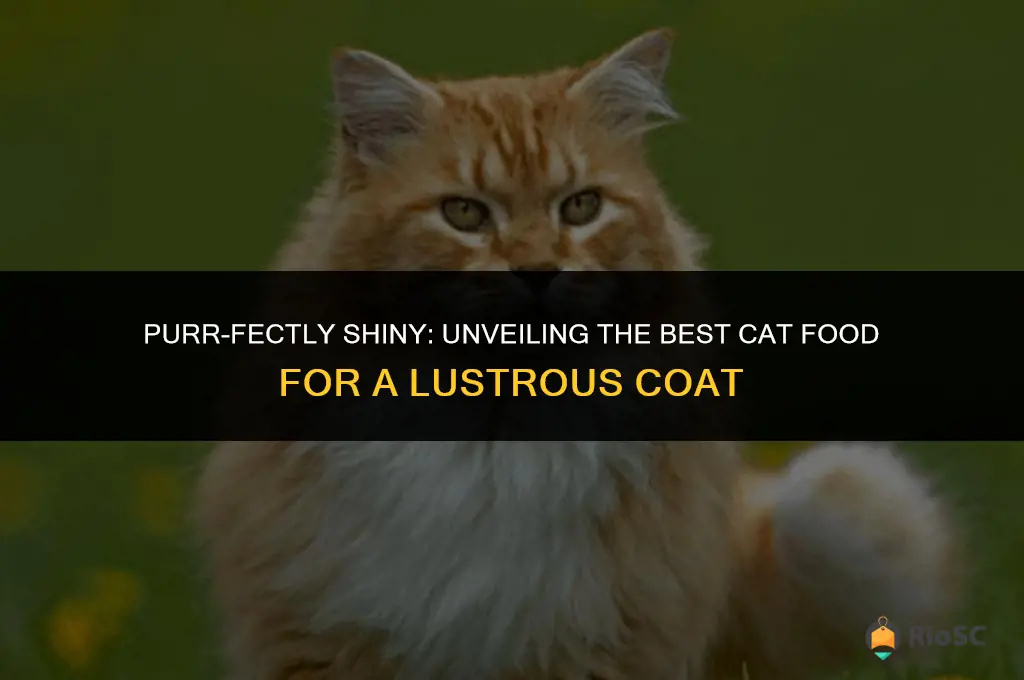 best cat food for shiny coat