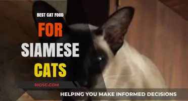 Purr-fect Nutrition: Tailoring Your Siamese Cat's Diet for Optimal Health and Happiness