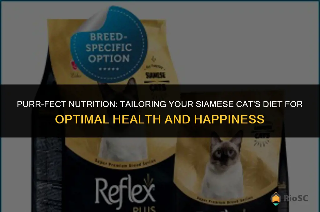 best cat food for siamese cats