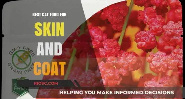 Nourishing Your Feline's Fur: Top Cat Food Picks for a Healthy Skin and Coat
