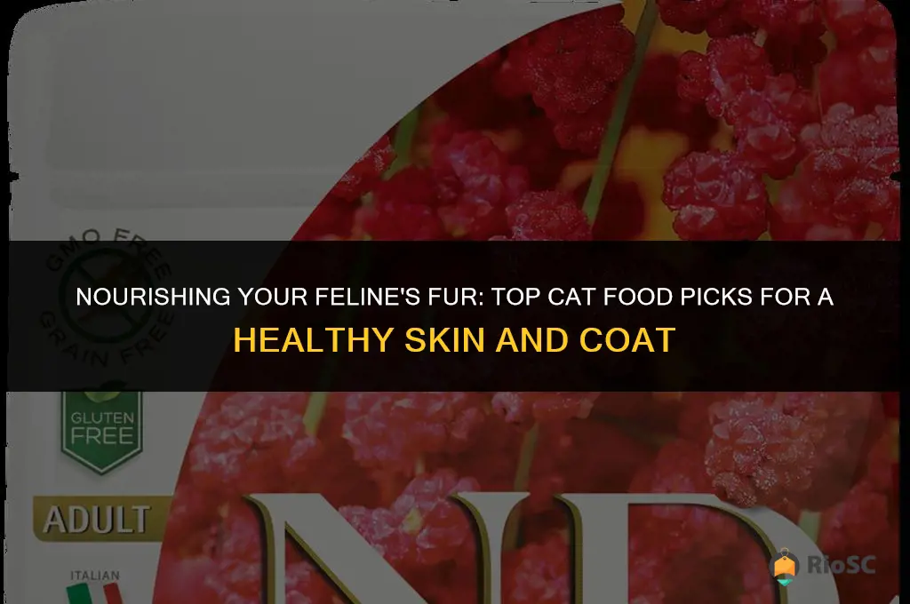 best cat food for skin and coat