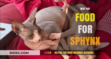 Purr-fect Nutrition: Unveiling the Best Cat Food for Sphynx Cats