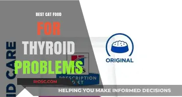 Feline Thyroid Health: Top Cat Food Choices to Support Your Pet's Well-being