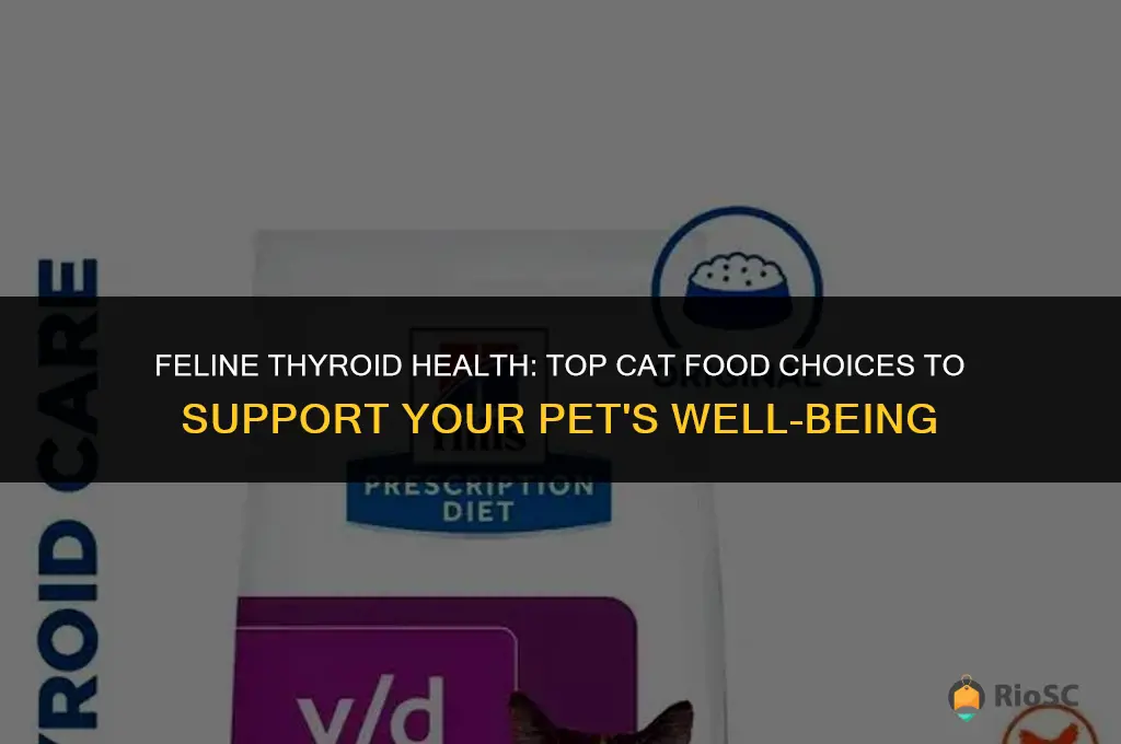 best cat food for thyroid problems