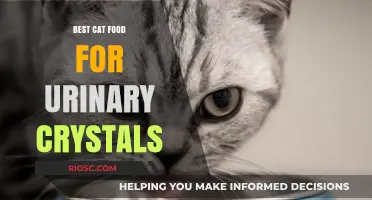 Feline Health Focus: Optimal Nutrition to Prevent Urinary Crystals in Cats