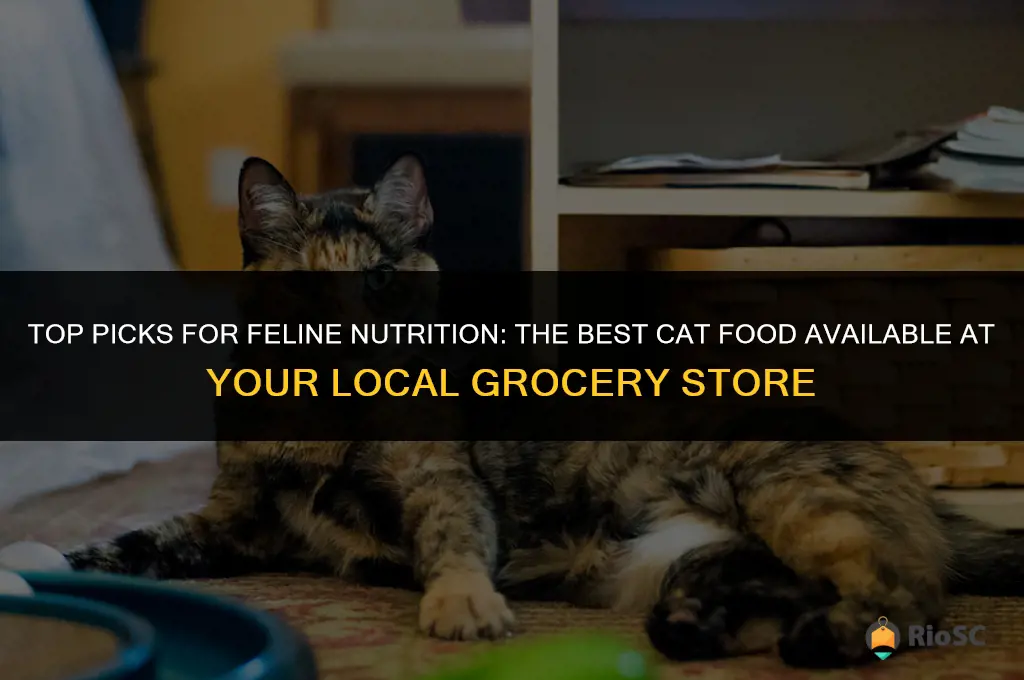 best cat food from grocery store