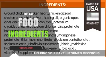 Whiskers' Delight: Unveiling the Purr-fect Ingredients for Your Feline Friend's Gourmet Feast