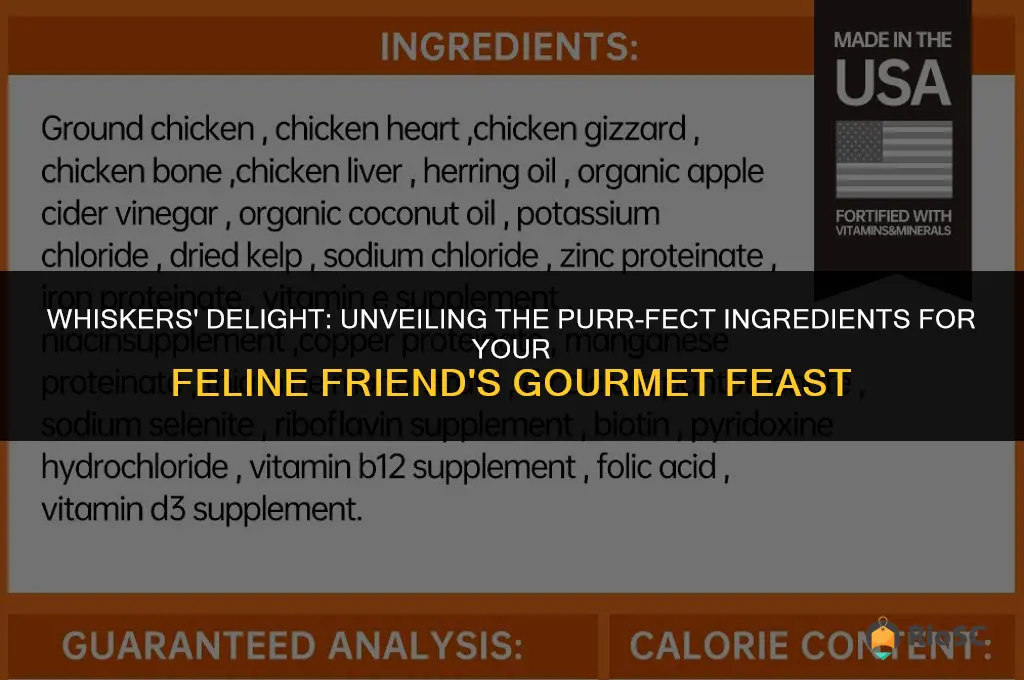 best cat food ingredients