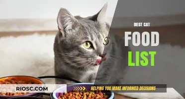 Top-Rated Cat Food Options: A Comprehensive Guide for Feline Nutrition