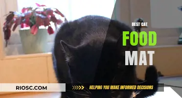 Top Picks for Your Feline Friend: The Best Cat Food Mats of 2024