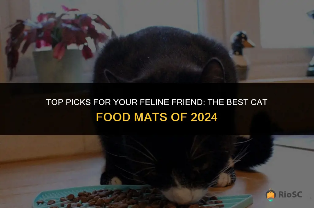 best cat food mat