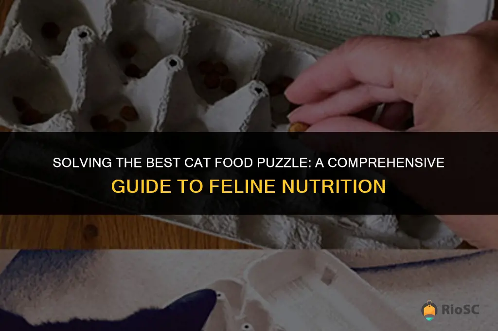 best cat food puzzle