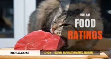 Top-Rated Cat Foods: A Comprehensive Guide to Feline Nutrition