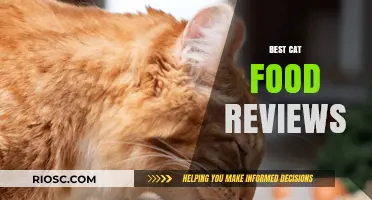 Purr-fect Picks: Expert Reviews on the Best Cat Food Brands of 2024