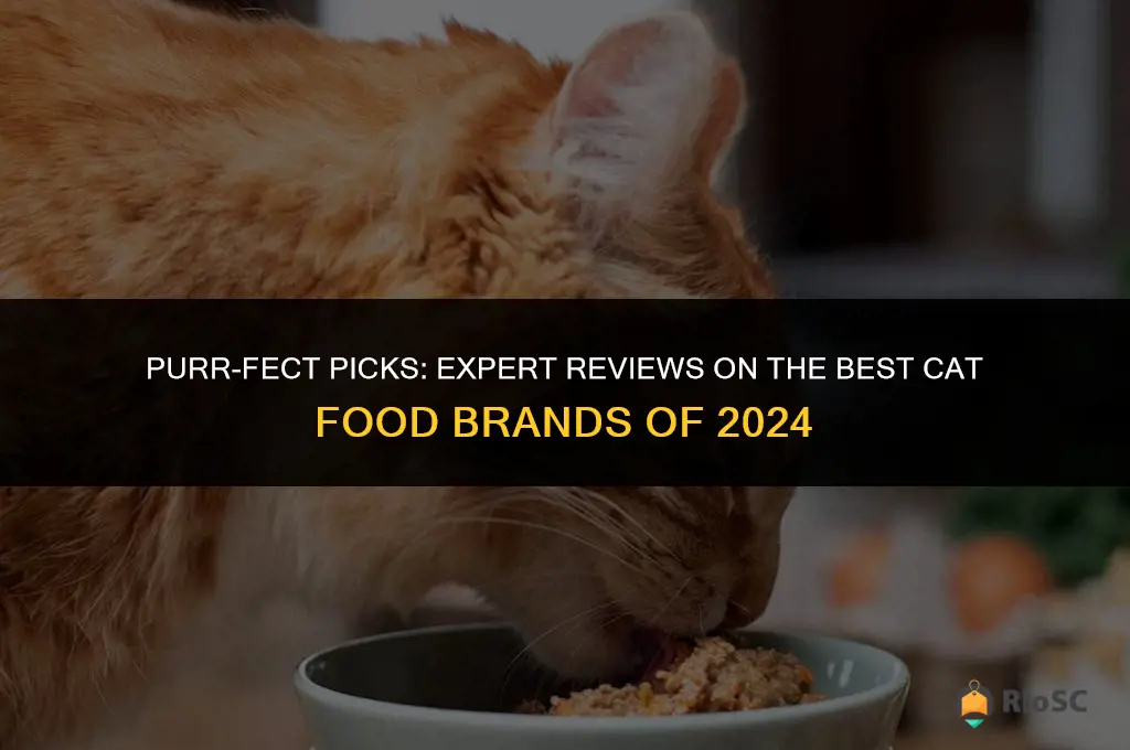 best cat food reviews