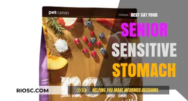 Top Picks for Senior Cats with Sensitive Stomachs: A Guide to the Best Cat Food Options