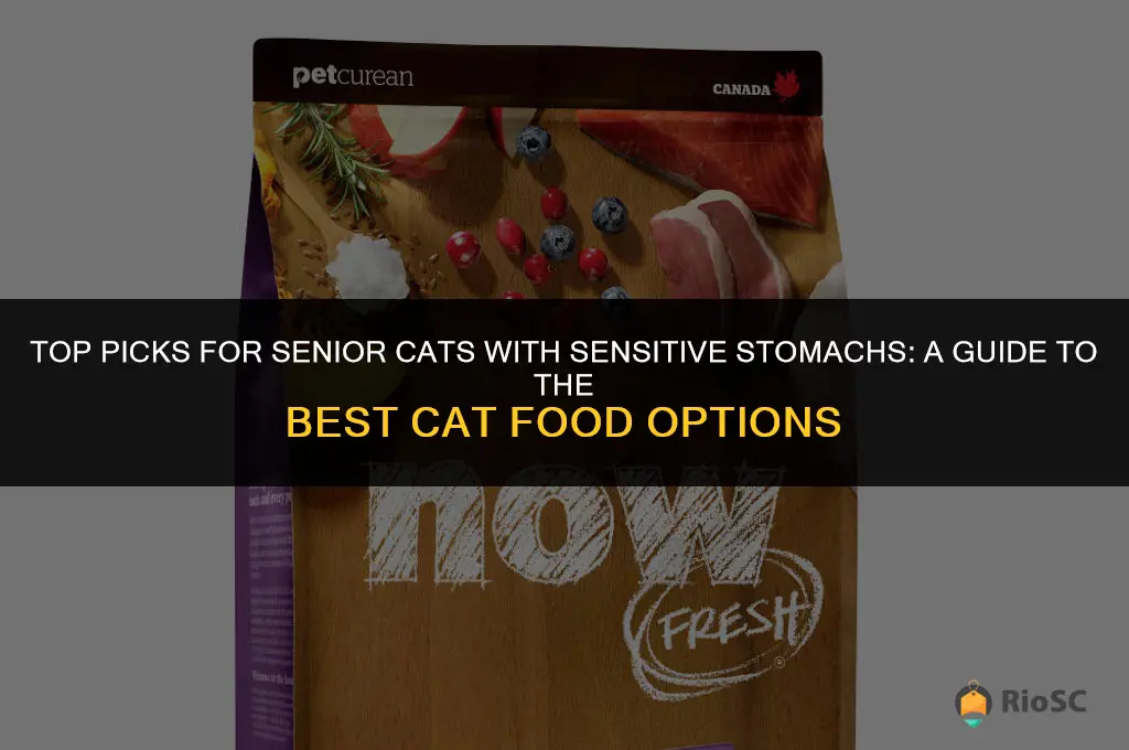 best cat food senior sensitive stomach