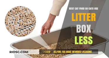 Top Cat Food Choices to Reduce Litter Box Use and Keep Your Home Cleaner