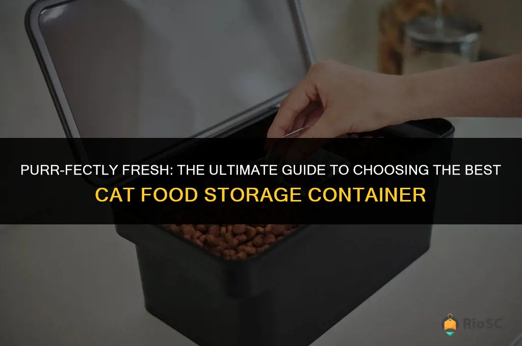 best cat food storage container