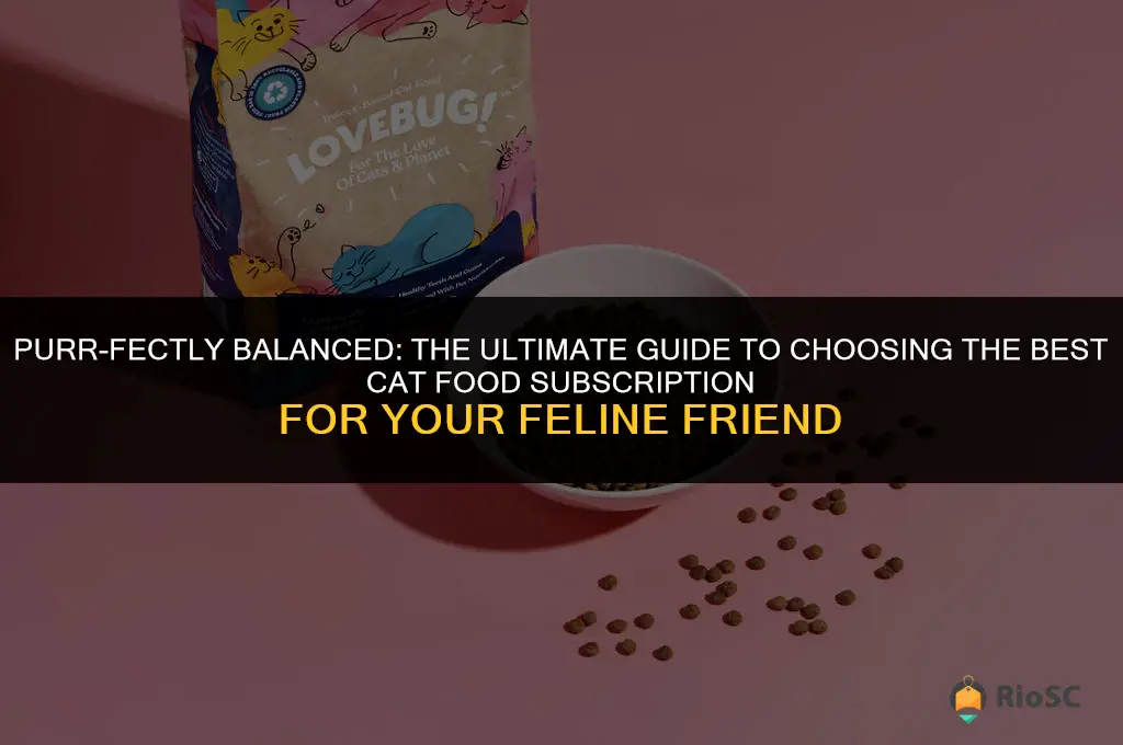 best cat food subscription