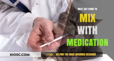 Feline Health Boost: Top Cat Food Choices to Combine with Medication for Optimal Wellness
