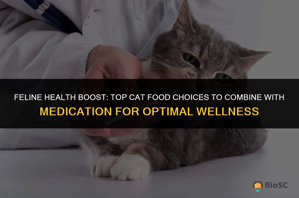 best cat food to mix with medication