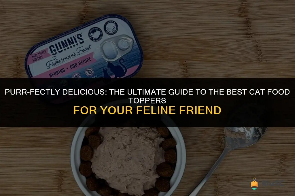 best cat food toppers