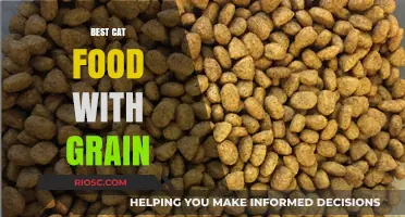 Whiskers' Delight: Top Grain-Inclusive Cat Food Picks for a Healthy Feline Diet