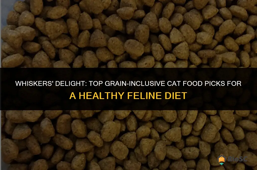 best cat food with grain