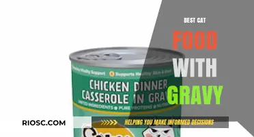 Purr-fectly Delicious: Top Cat Food Options with Gravy for Your Feline Friend