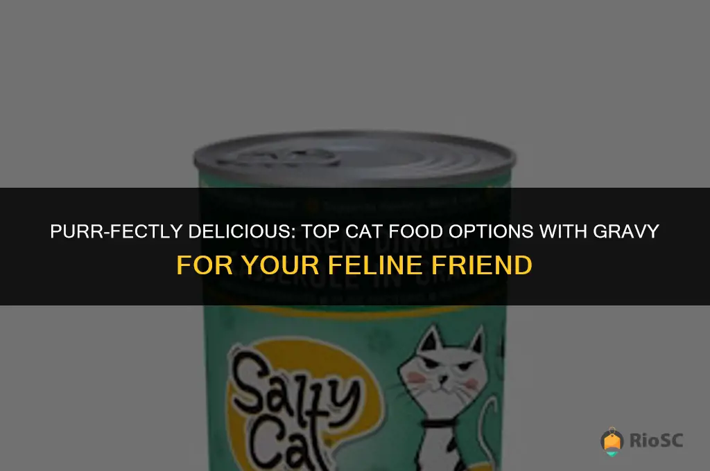 best cat food with gravy