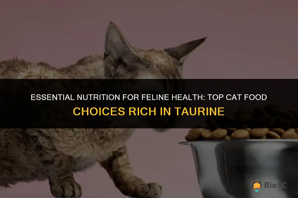 best cat food with taurine