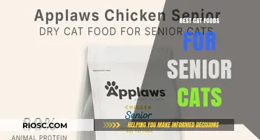 Nutritious Delights for Golden Years: Top Cat Food Picks for Senior Felines