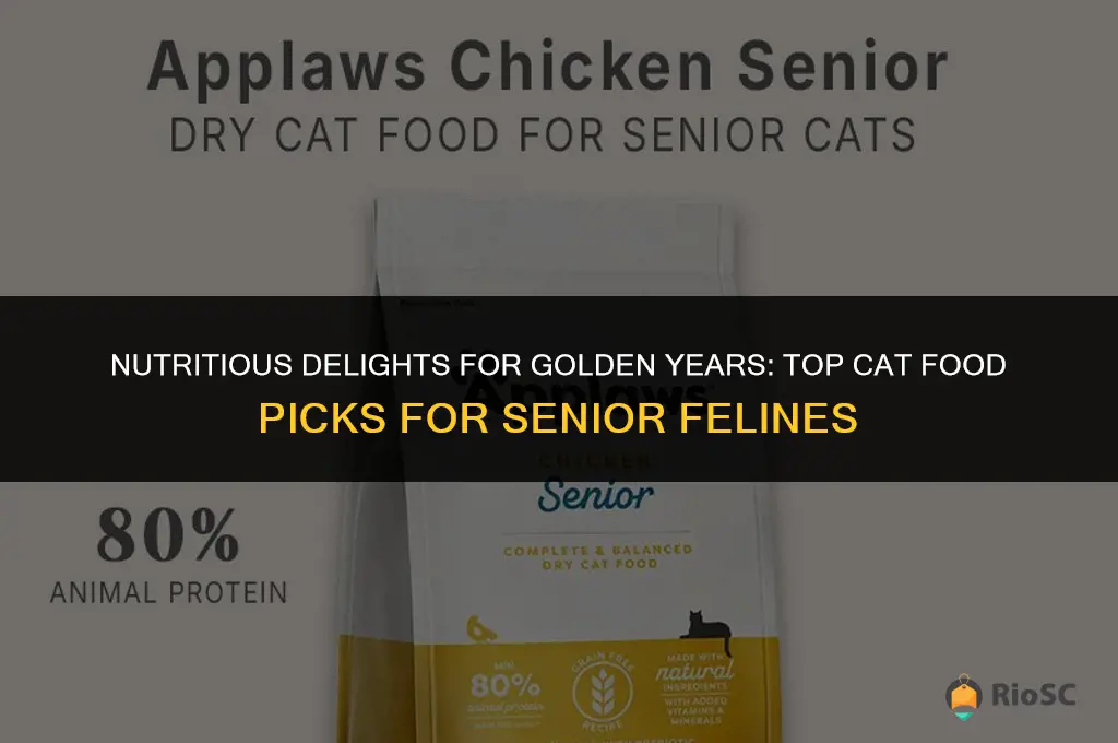 best cat foods for senior cats
