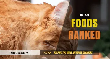 Purr-fect Picks: The Ultimate Guide to the Best Cat Foods Ranked