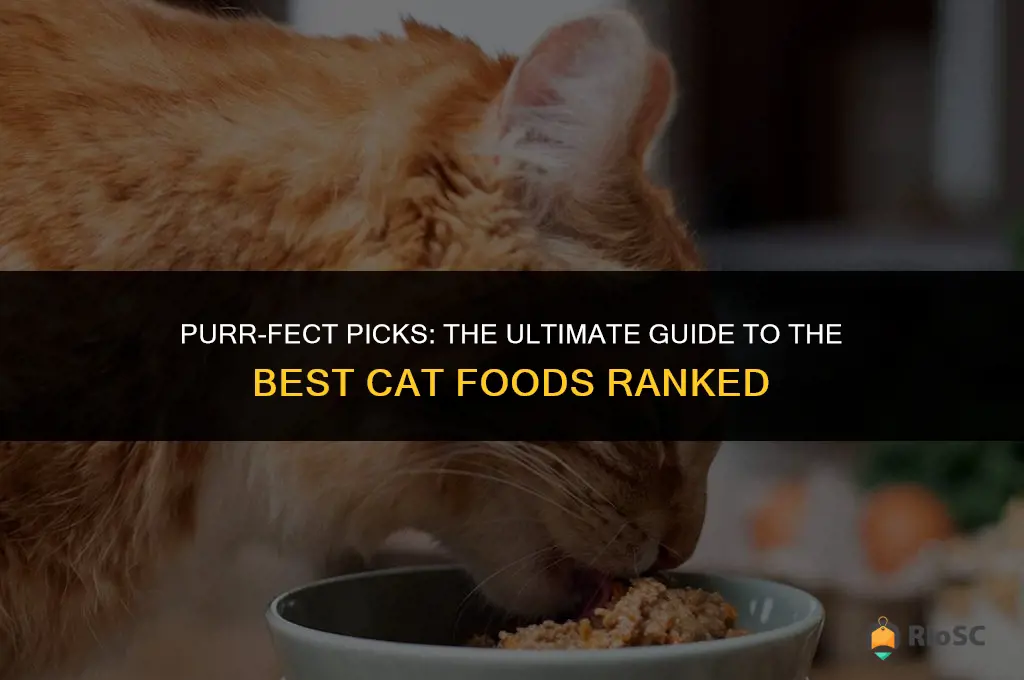 best cat foods ranked