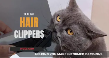 The Purrfect Groom: Finding the Best Clippers for Your Cat's Comfort