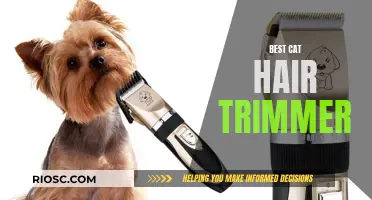 The Ultimate Cat Hair Trimmer: Achieving a Purr-fectly Groomed Coat