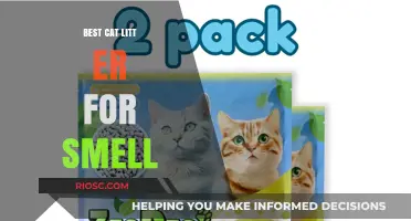 Fresh and Odor-Free: The Ultimate Guide to the Best Cat Litter for Eliminating Smells