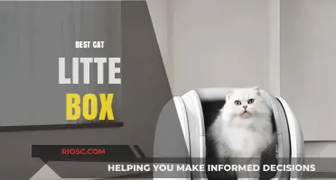 Top Picks for the Best Cat Litter Box: Comfort, Convenience, and Cleanliness for Your Feline Friend