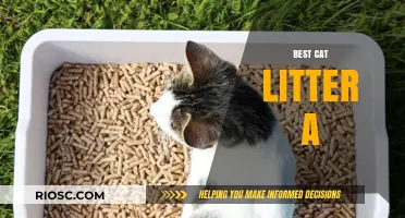 Top Picks for the Best Cat Litter: A Comprehensive Guide to Keep Your Feline Happy and Your Home Fresh
