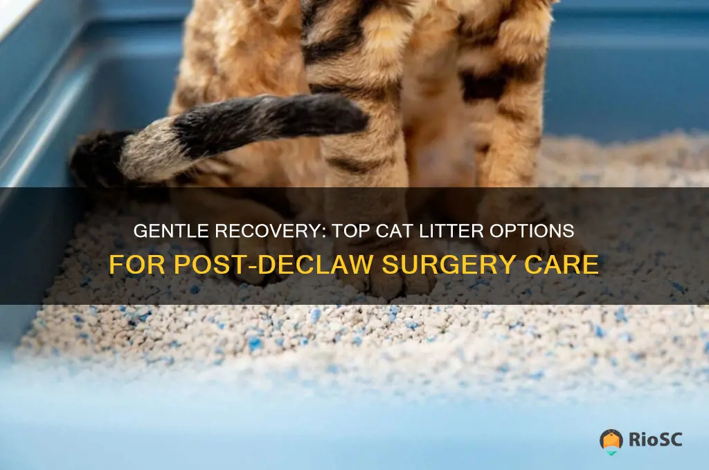 best cat litter after declaw surgery