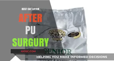 Gentle Recovery: Choosing the Best Cat Litter for Post-Spay/Neuter Surgery Comfort and Safety