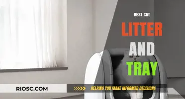 Top Picks for Cat Owners: The Best Cat Litter and Tray Combinations for a Clean and Happy Home