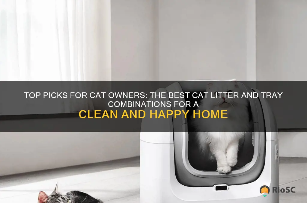 best cat litter and tray