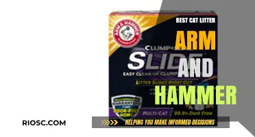 Arm & Hammer Cat Litter: Top Picks for Odor Control and Clumping Performance