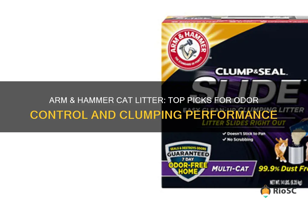best cat litter arm and hammer