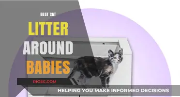 Safe and Clean: The Best Cat Litter Options for Homes with Babies