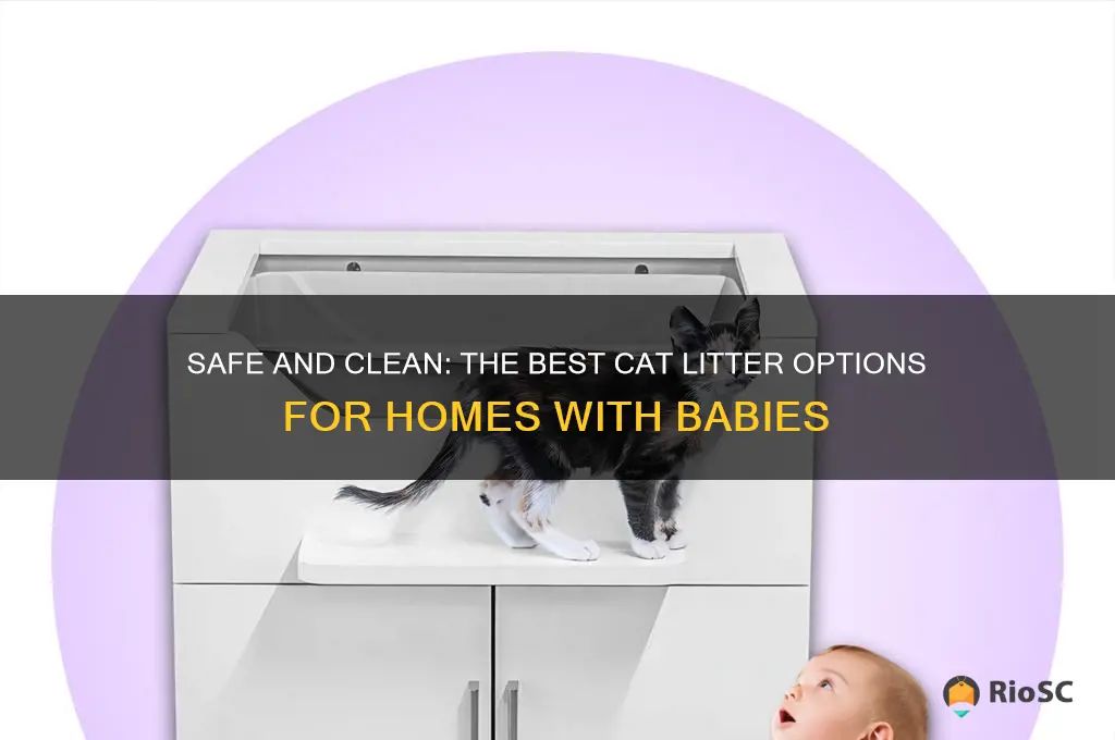 best cat litter around babies
