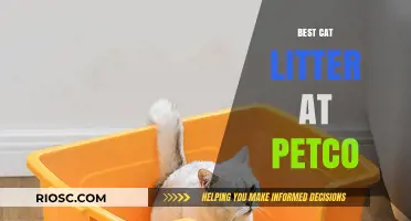 Top-Rated Cat Litter Options Available at Petco: A Comprehensive Guide